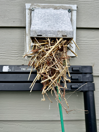Professional dryer vent cleaning recommendation 2