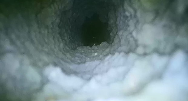 Dryer Vent Inspections