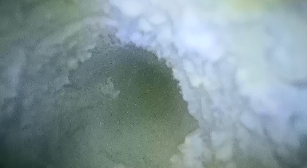 Dirty dryer vent before cleaning